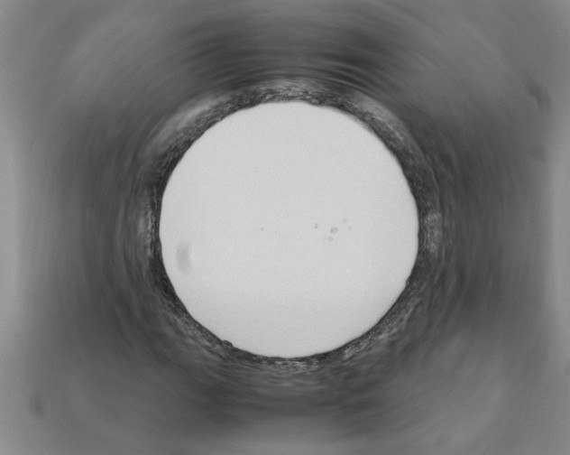 X0000111951111200909071314