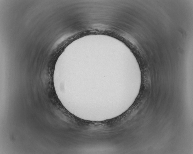 X0000111951112200909071314