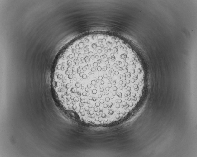 X0000111951113200909071314