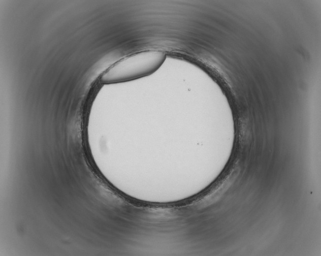 X0000111951114200909071314
