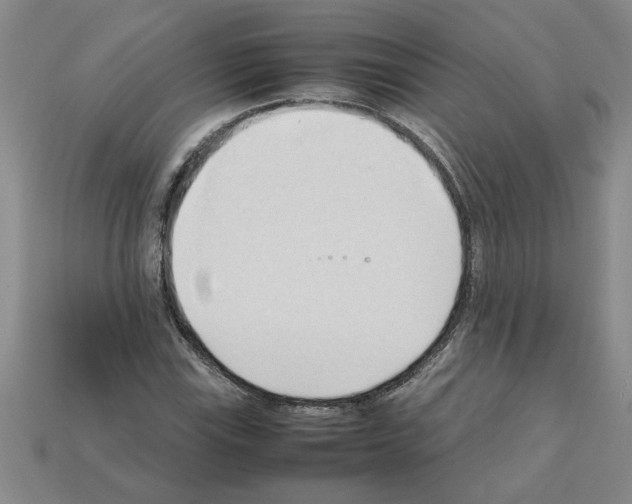 X0000111951115200909071314