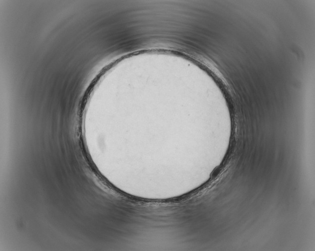 X0000111951116200909071314