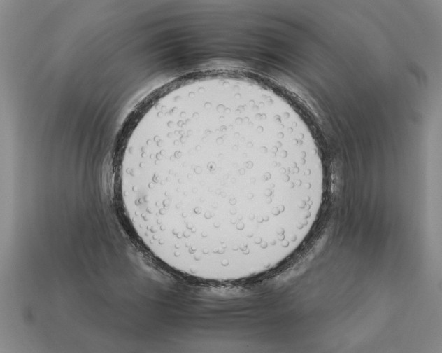 X0000111951117200909071314
