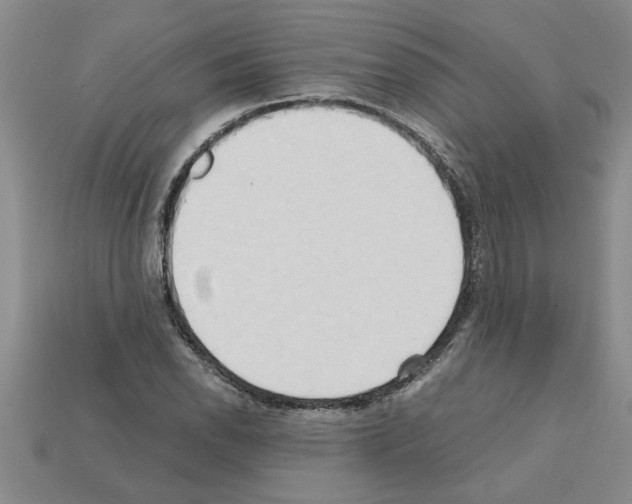 X0000111951118200909071314
