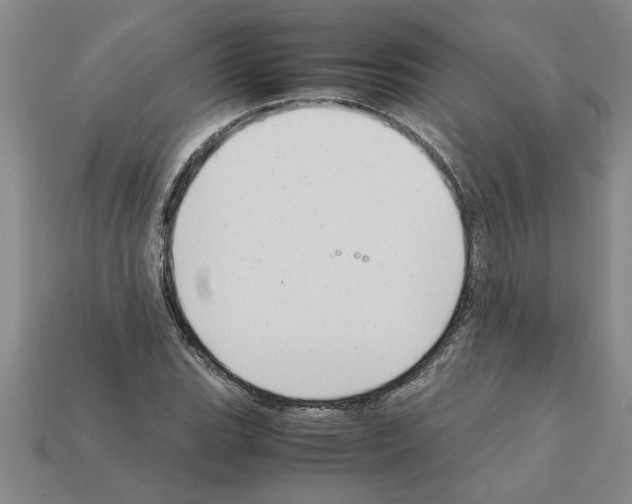 X0000111951119200909071314