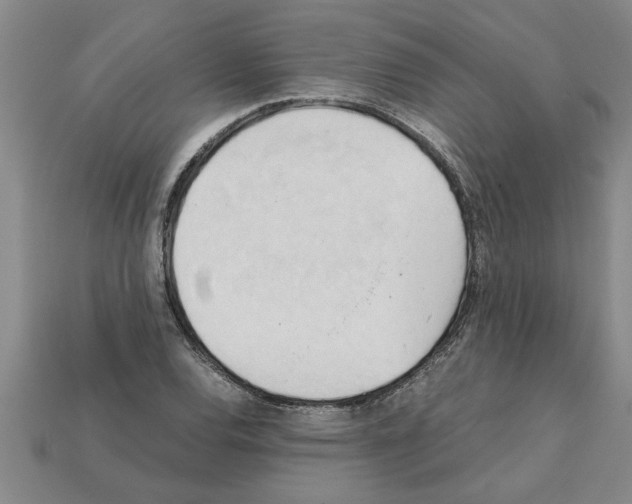 X0000111951120200909071314