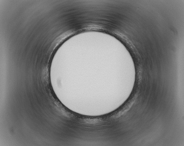 X0000111951121200909071314