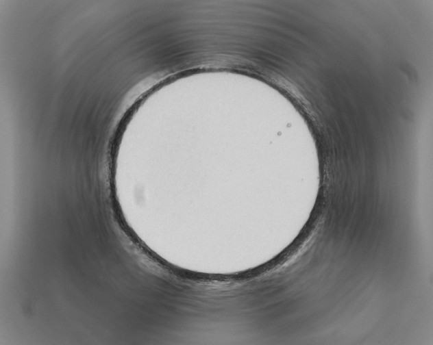 X0000111951122200909071314