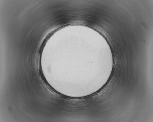 X0000111951123200909071314