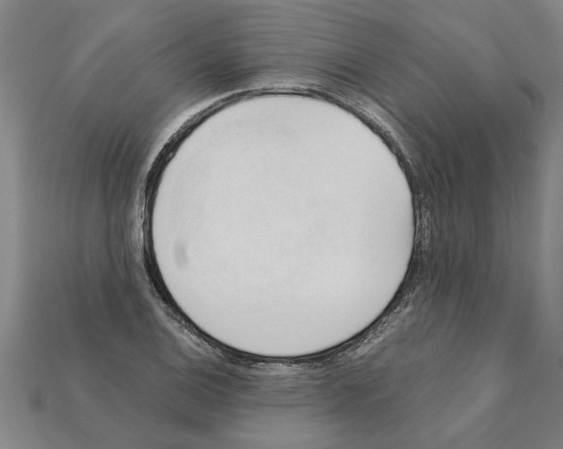 X0000111951124200909071314
