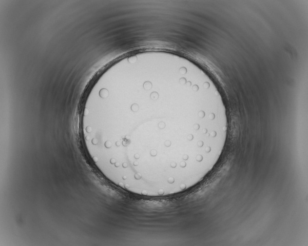 X0000111951125200909071314