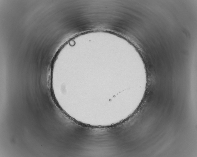 X0000111951126200909071314