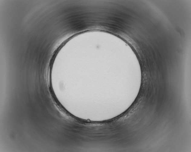 X0000111951127200909071314
