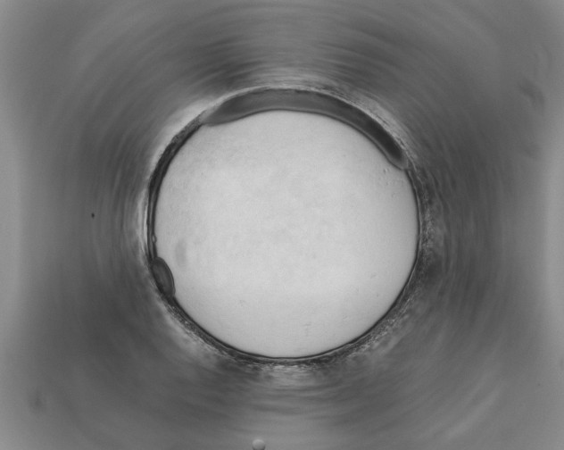 X0000111951128200909071314
