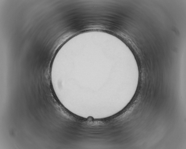 X0000111951129200909071314