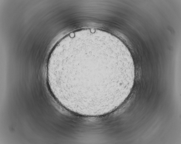 X0000111951130200909071314
