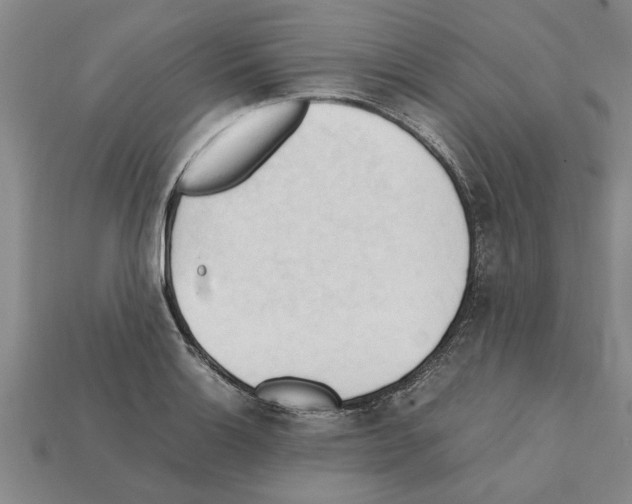 X0000111951132200909071314
