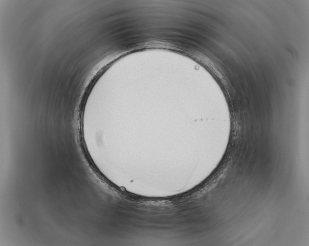 X0000111951133200909071314