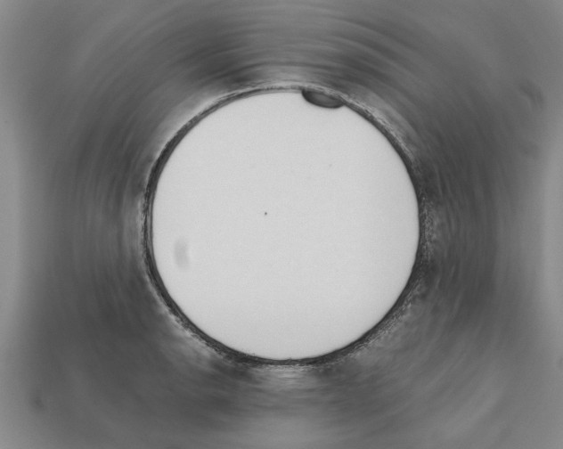 X0000111951134200909071314