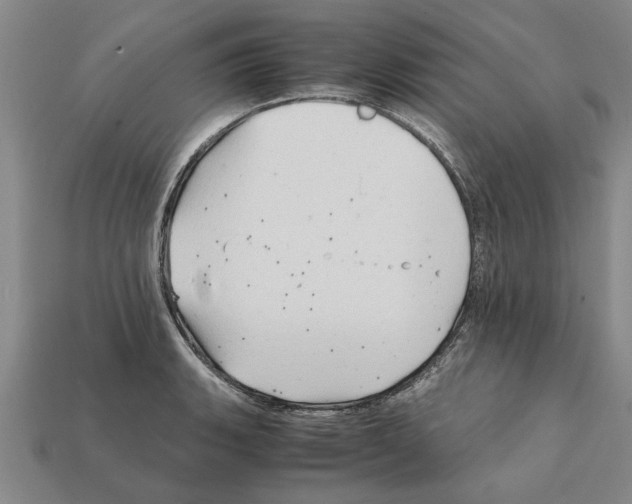 X0000111951135200909071314