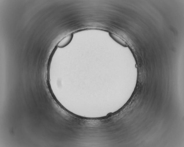 X0000111951136200909071314