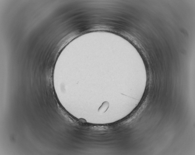 X0000111951137200909071314