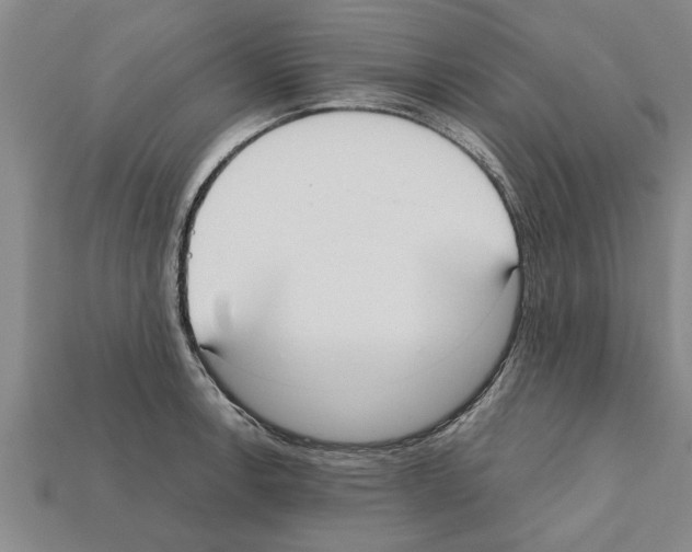 X0000111951138200909071314