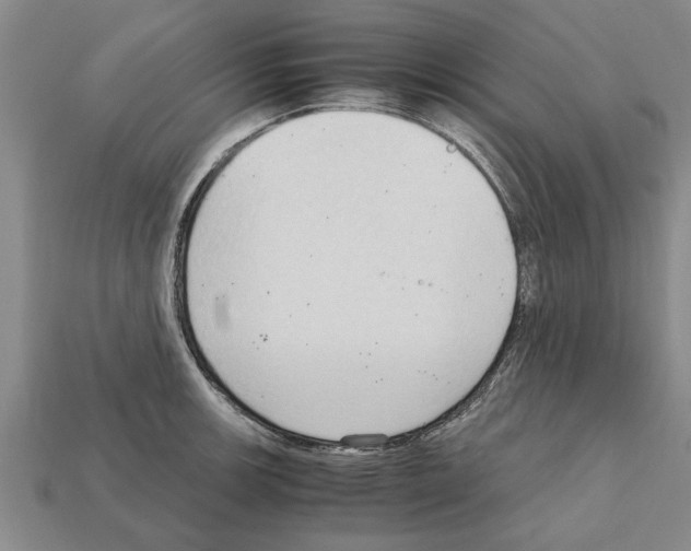 X0000111951139200909071314