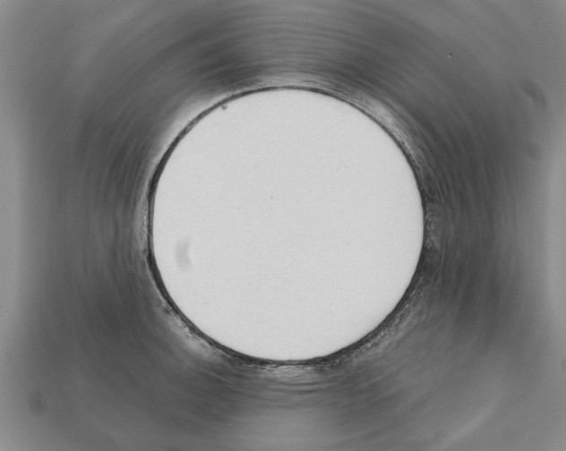 X0000111951140200909071315