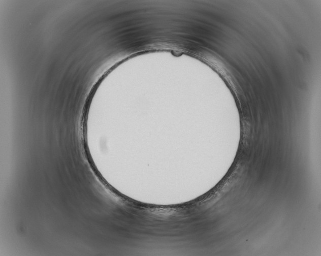 X0000111951141200909071315