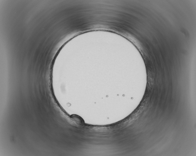 X0000111951142200909071315