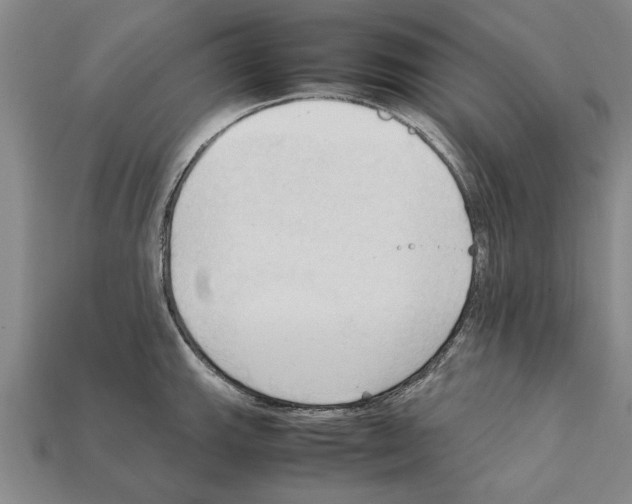 X0000111951143200909071315