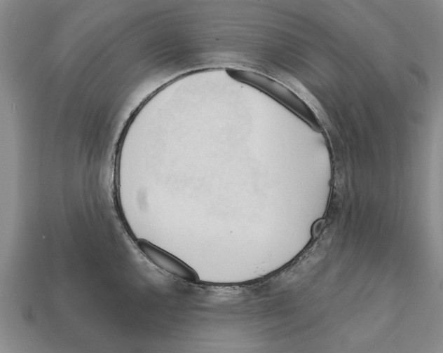 X0000111951144200909071315