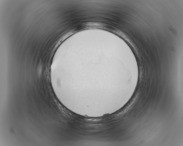 X0000111951145200909071315