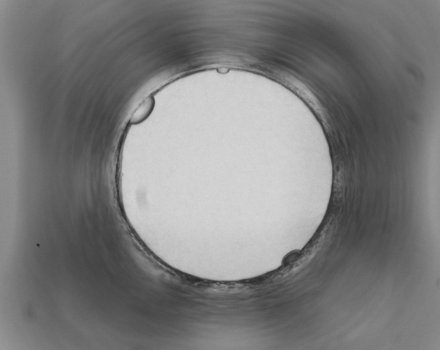 X0000111951146200909071315