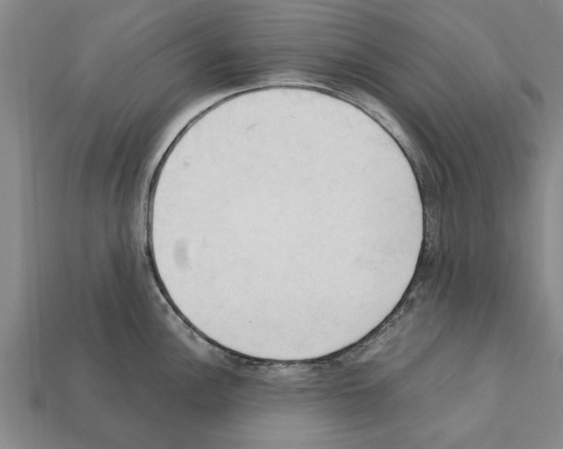 X0000111951148200909071315