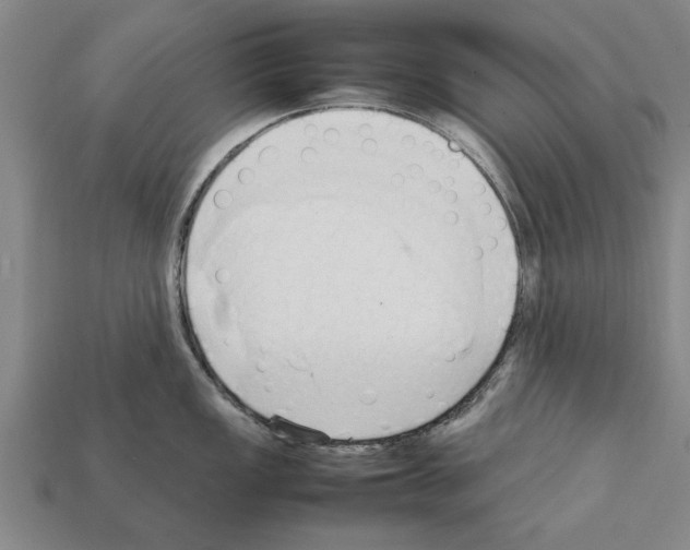 X0000111951149200909071315
