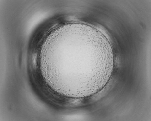 X0000111951150200909071315