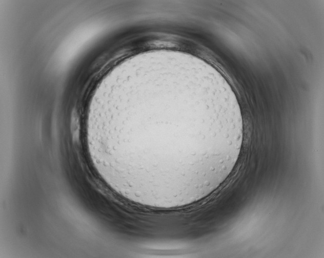 X0000111951151200909071315