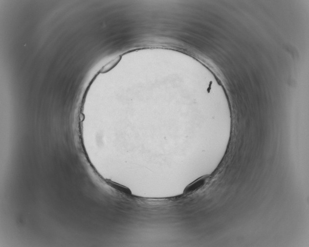 X0000111951152200909071315
