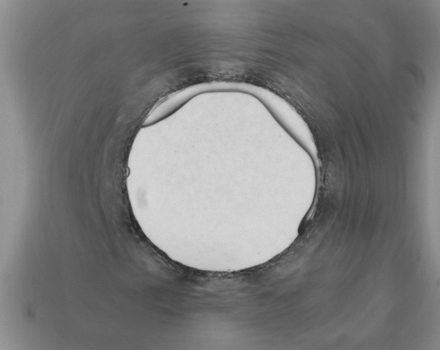 X0000111951153200909071314