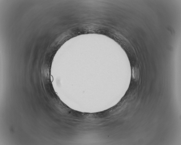 X0000111951155200909071314