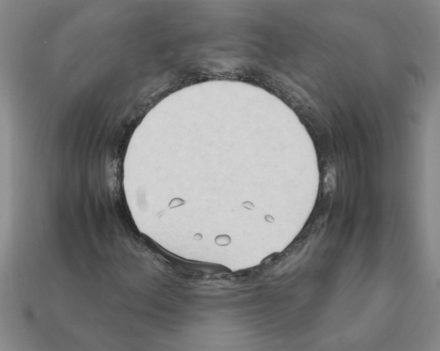 X0000111951156200909071314