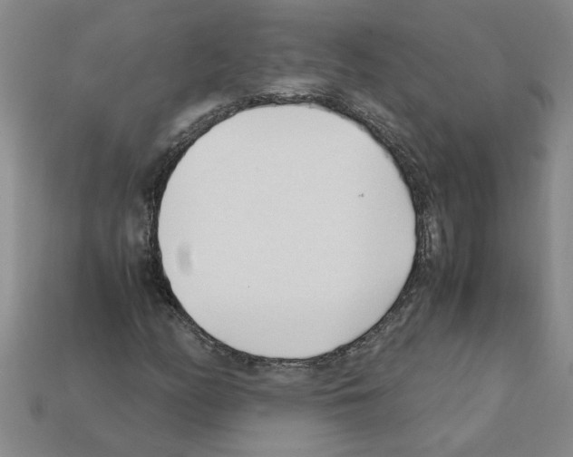 X0000111951158200909071314