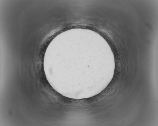 X0000111951159200909071314
