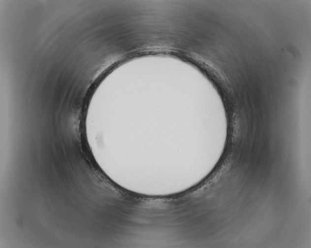 X0000111951162200909071314
