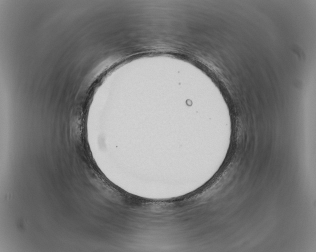 X0000111951163200909071314