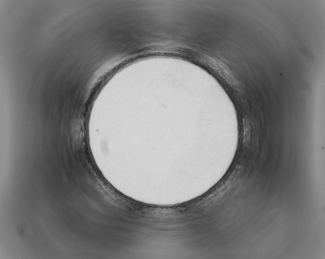 X0000111951164200909071314