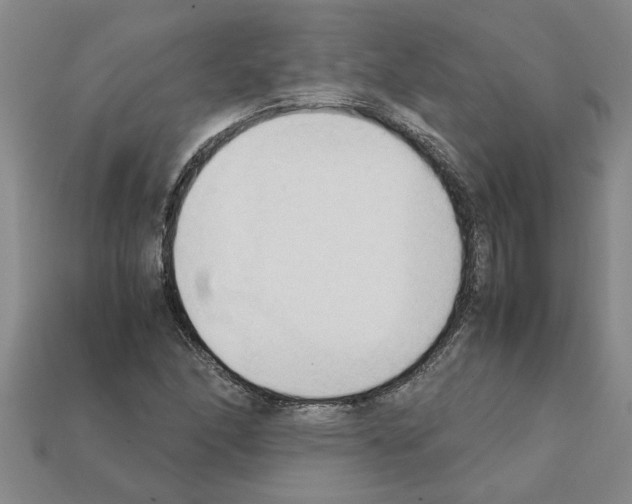 X0000111951166200909071314