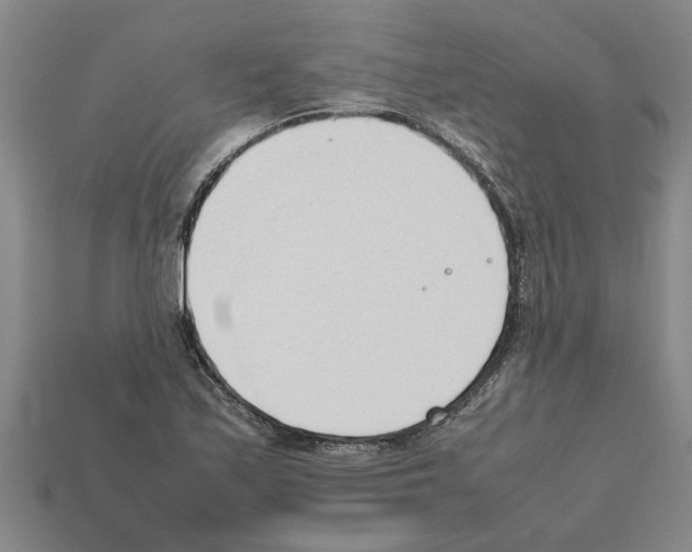 X0000111951171200909071314